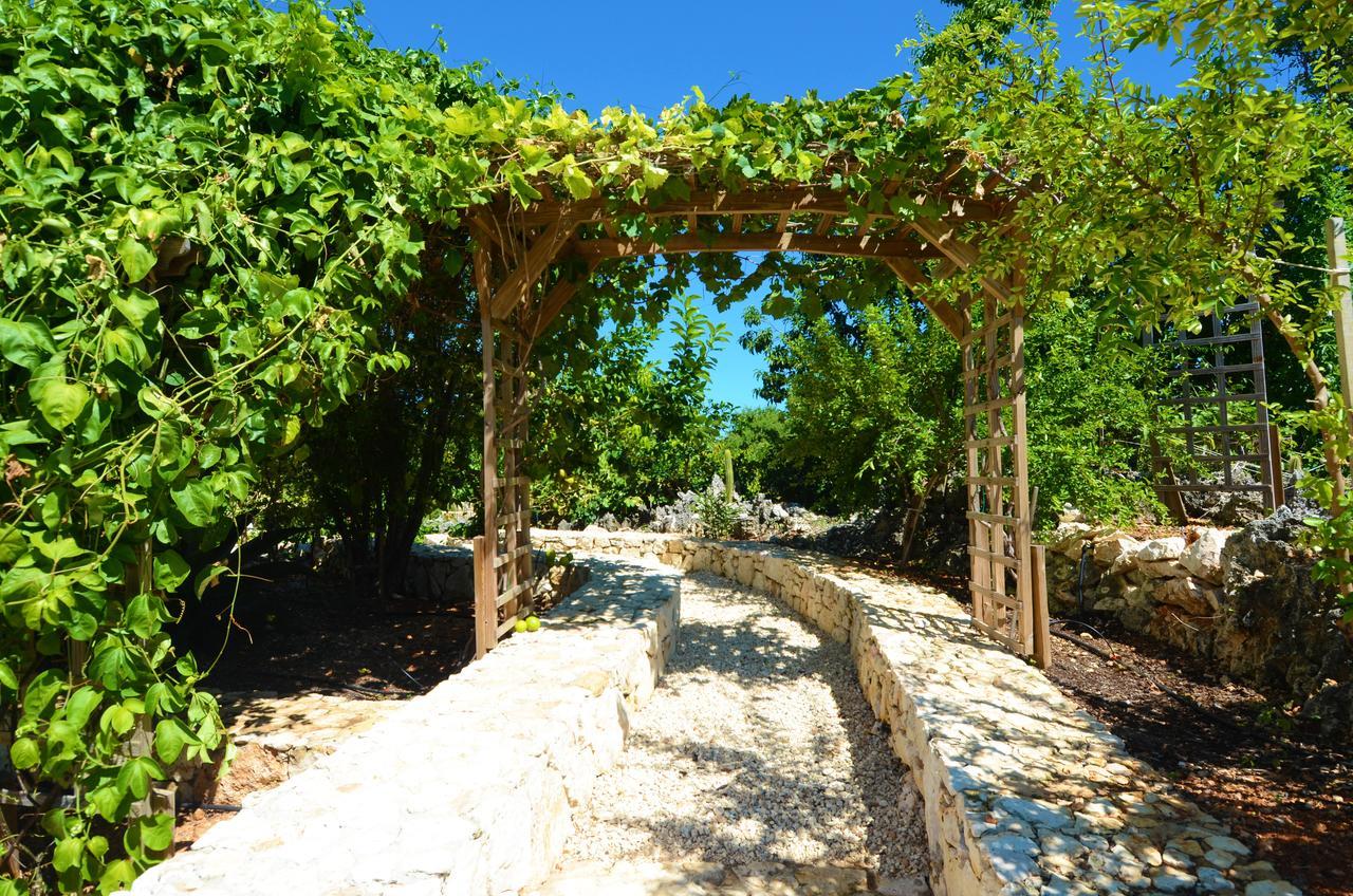 Le Soleil D'Or Hotel Cayman Brac Exterior photo